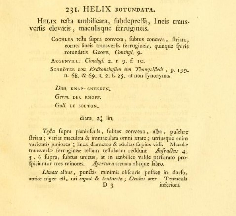 Discus rotundatus (O.F. Mller, 1774)